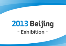 2013 Beijing Exhibition